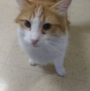 Meet your Posher, Mary